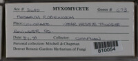 Image Associated With the Occurence